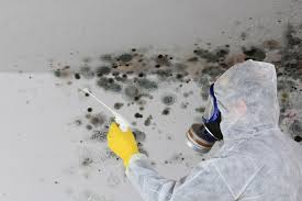 Trusted Wanamassa, NJ Mold Removal Services Experts